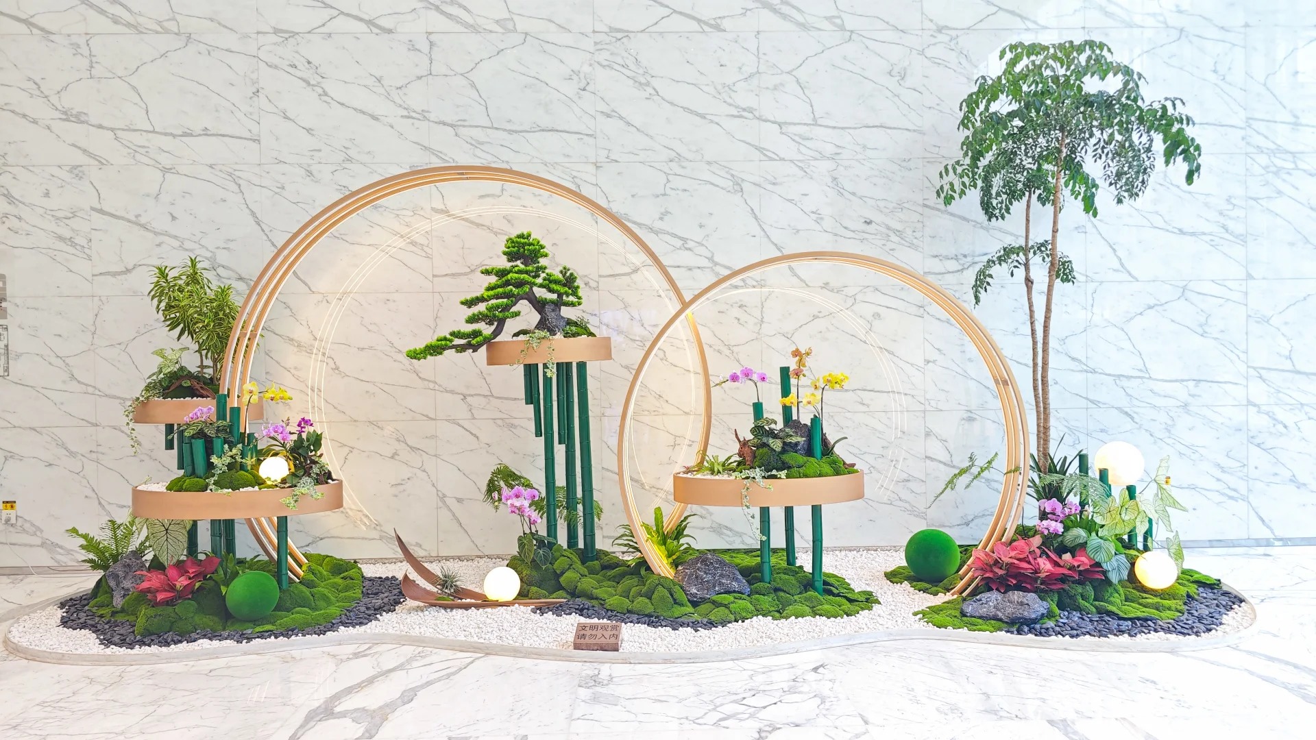 专业花木租赁在宁波江北,给你别样绿色体验